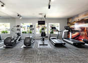 Thumbnail 29 of 54 - a gym with cardio equipment and a painting on the wall