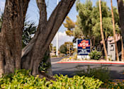 Thumbnail 13 of 36 - a sign for avs real estate in front of trees and bushes