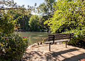 Thumbnail 29 of 42 - a park bench overlooking a river with ducks