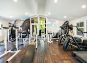 Thumbnail 31 of 42 - a home gym with exercise equipment and a mural on the wall