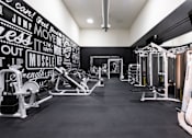 Thumbnail 25 of 38 - a gym with weights and cardio equipment and a wall covered in graffiti