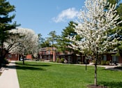 Thumbnail 24 of 30 - Landscaped courtyard with blossoming trees at Troy Hills Village in Parsippany, NJ,07054