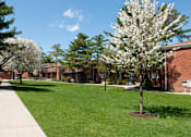 Thumbnail 29 of 30 - Lawn area with cherry blossoms at Troy Hills Village in Parsippany, NJ,07054