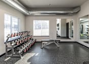 Thumbnail 9 of 13 - A gym with a row of dumbbells and a bench press.