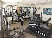 Thumbnail 4 of 5 - a gym with various machines and weights on the floor Pinewood Estates, Zimmerman, 55398