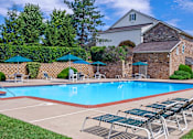 Thumbnail 6 of 19 - Swimming pool surrounded by lounge chairs and tables and adorned with tall trees.