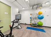 Thumbnail 15 of 230 - A gym room with a stationary bike, a row of exercise balls, and a rack of resistance bands.