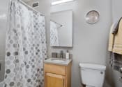 Thumbnail 18 of 39 - a bathroom with a sink toilet and shower at Eden Commons, Chicago, IL, 60616