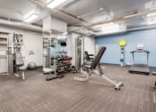 Thumbnail 26 of 39 - a spacious fitness center with cardio equipment and weights at Eden Commons, Illinois, 60616