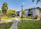 Thumbnail 5 of 39 - Hayward, CA, Apartments Near Bay Area - The Dutton Apartments - Courtyard Lawn with Curving Pathways, Lamp Post, Mature Trees, and Apartment Buildings.