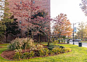 Thumbnail 6 of 16 - Fresh Pond Apartments