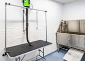 Thumbnail 19 of 34 - Pet grooming room with tub and grooming table