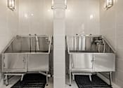 Thumbnail 27 of 35 - Stainless steel commercial pet washing stations at Ardmore at Prosperity Apartments, Knoxville, 37932