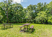 Thumbnail 22 of 39 - Picnic tables are set up in a grassy area with trees in the background.
