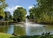 Thumbnail 98 of 137 - a fountain in the middle of a pond with ducks in it