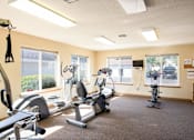 Thumbnail 19 of 38 - a gym with exercise equipment and windows