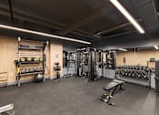 Thumbnail 7 of 16 - The Bell Lofts Fitness Center TRX Machine
