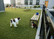 Thumbnail 21 of 24 - Dog Park at The Standard Apartments, Allentown, Pennsylvania