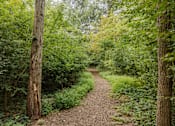 Thumbnail 6 of 26 - Forest Walkway at Meadows Apartments, Emmaus, PA, 18049