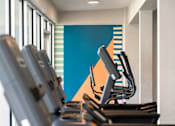 Thumbnail 55 of 58 - A row of treadmills are lined up in a gym.