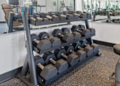 Thumbnail 14 of 21 - a gym with rows of dumbbells on a rack at The Teale Navy Yard, North Charleston, SC, 29405