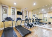 Thumbnail 17 of 40 - a gym with cardio machines and a tv on the wall