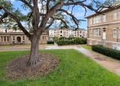 Thumbnail 7 of 40 - a tree in the middle of a yard between two buildings