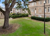 Thumbnail 3 of 40 - a tree in a yard in front of a building
