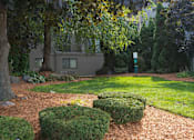 Thumbnail 25 of 25 - A garden with a green lawn and a building in the background.