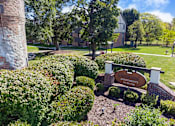 Thumbnail 25 of 25 - A sign for Glenwood Apartments is surrounded by green bushes.