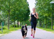 Thumbnail 26 of 27 - Walking dog at Briarlane Apartments in Grand Rapids, MI