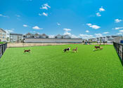 Thumbnail 33 of 43 - Dog park at Hudsonville, MI Apartments and Townehomes | Elmwood Lake Apartments in Hudsonville MI