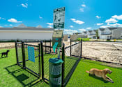 Thumbnail 31 of 43 - Dog park at Hudsonville, MI Apartments and Townehomes | Elmwood Lake Apartments in Hudsonville MI
