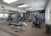 Thumbnail 16 of 23 - Fitness room at Alpine Slopes Apartments near Grand Rapids, MI
