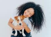 Thumbnail 47 of 47 - Pet friendly living at Royal Oak, MI Apartments | Main Living Apartments in Royal Oaks, MI