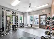 Thumbnail 18 of 26 - a home gym with a treadmill and weights