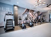 Thumbnail 21 of 31 - a workout room with a wall mural of exercise bikes