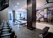 Thumbnail 15 of 31 - a gym with weights and a wall mural of a ski slope