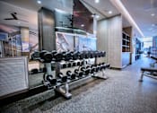 Thumbnail 16 of 31 - a rack of weights in a gym with a television on the wall