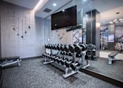 Thumbnail 17 of 31 - the gym is equipped with weights and a television