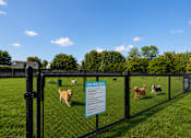 Thumbnail 17 of 30 - A dog park sign is posted on a fence with several dogs playing in the background. at Park On Canal Apartments - Clinton Twp, MI Apartments, Apartments, Clinton Twp, MI