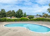 Thumbnail 26 of 31 - A small pool surrounded by a concrete deck and a hedge.