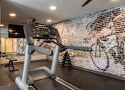 Thumbnail 46 of 58 - A treadmill in a gym with a brick wall in the background.