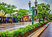 Thumbnail 32 of 33 - a city street with shops and trees on a rainy day