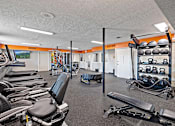 Thumbnail 20 of 25 - A gym with a variety of equipment including weights and machines.