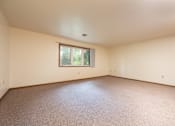 Thumbnail 3 of 12 - Empty room with a window and carpeted floor.