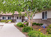 Thumbnail 2 of 13 - A tree with green leaves stands in front of a house.