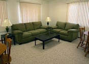 Thumbnail 3 of 3 - A living room with a green couch and a coffee table.