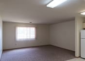 Thumbnail 8 of 13 - A room with a window and a carpeted floor.
