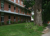 Thumbnail 27 of 28 - grounds
